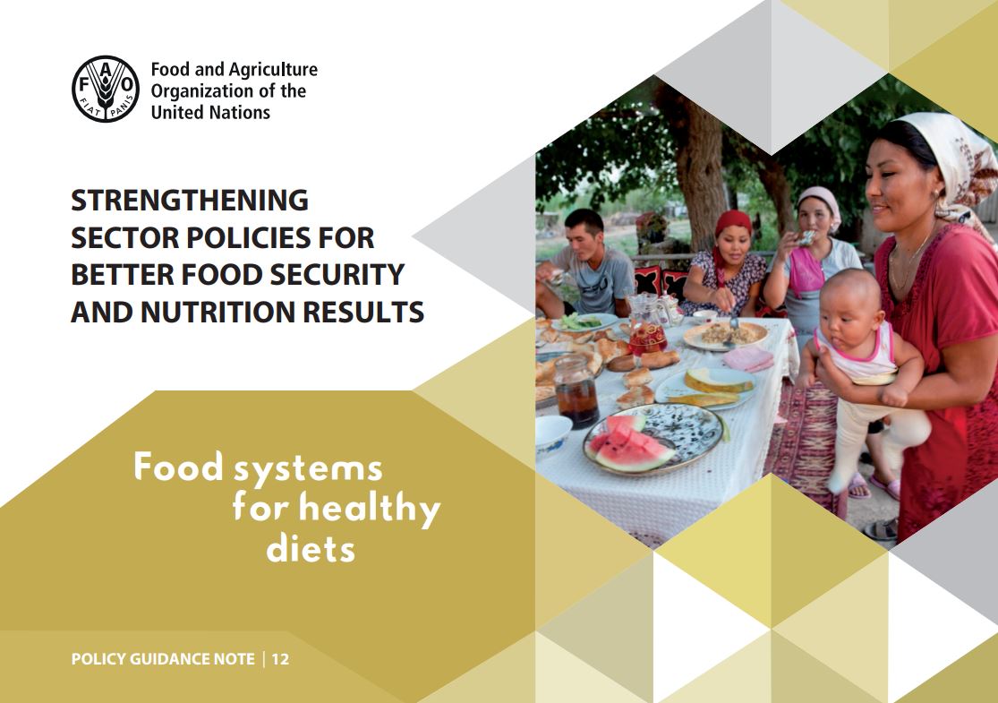 Food systems for healthy diets, FAO policy guidance Note