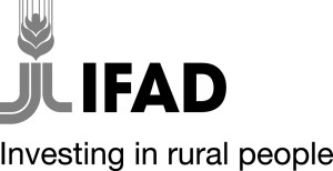 IFAD Logo