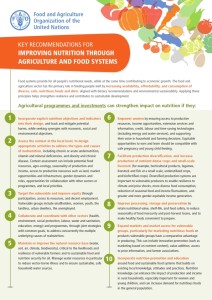 key Recommendations for improving nutrition through agiculture and food systems_001