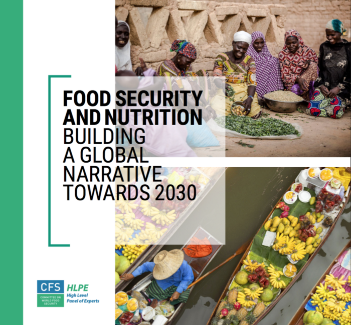 Food security and nutrition: building a global narrative towards 2030 &#8211; HLPE report