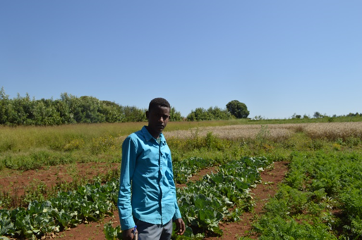 Agricultural Intervention for Better Nutrition &#8211; West Gojam Experience, Ethiopia