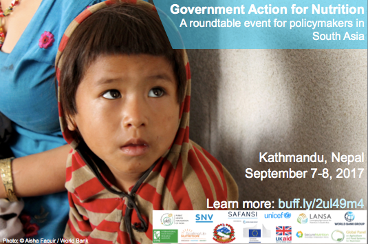 Regional roundtable convenes actors for more government action on nutrition in Nepal