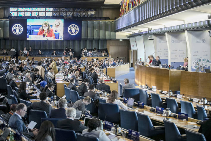 Committee on World Food Security focuses on food systems and nutrition