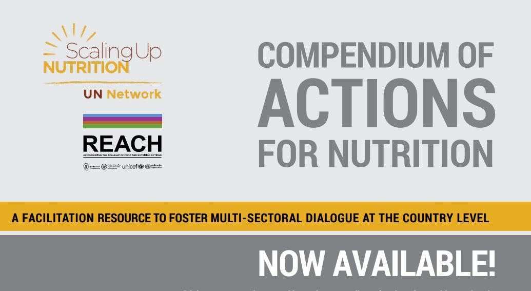 The Compendium of Actions for Nutrition is now available!