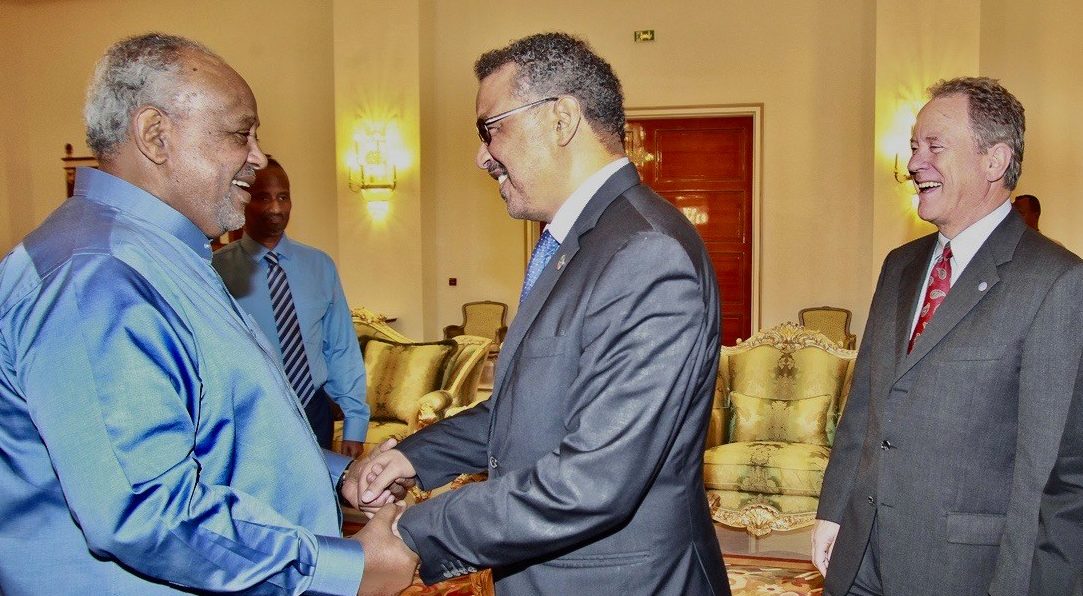 UN officials meet with Djibouti President on sustainable development