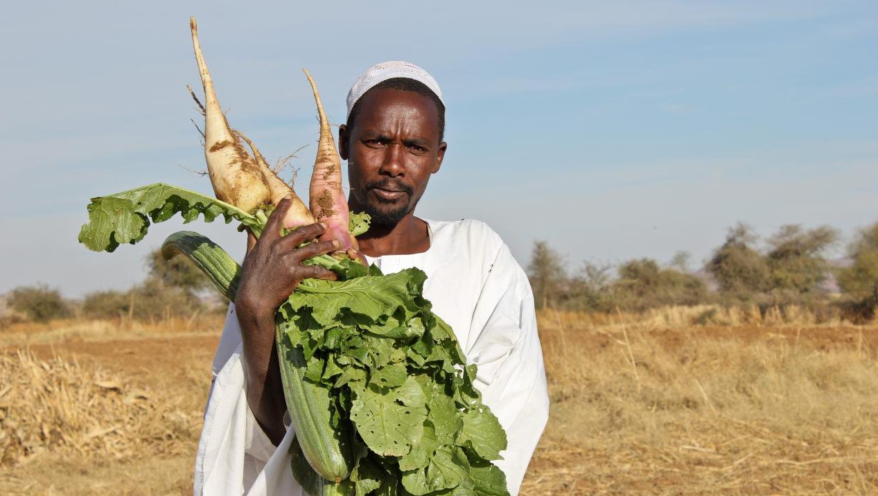 FAO launches $72 Million agricultural programme in Sudan