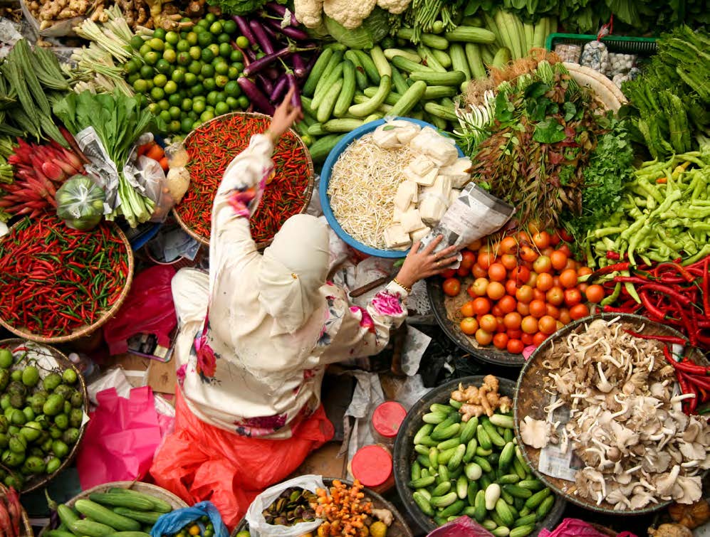 Food in the Anthropocene: The EAT–Lancet Commission on healthy diets from sustainable food systems report