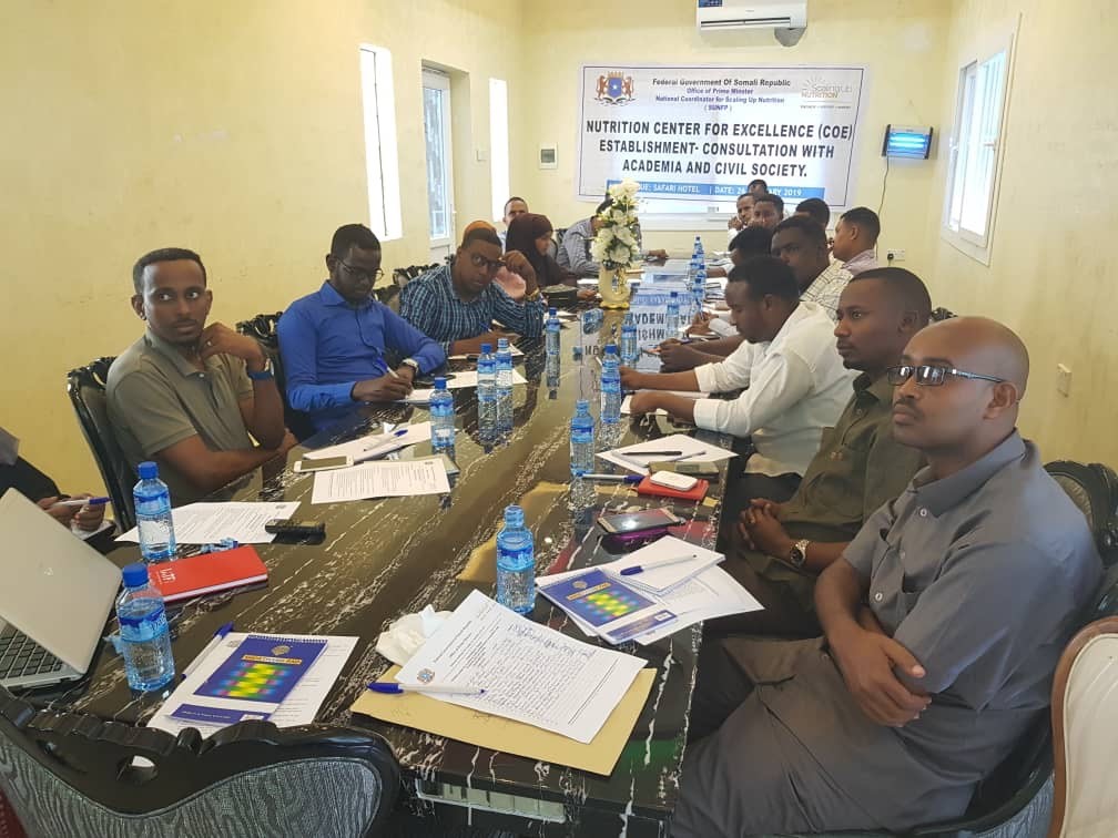 Private sector consultation forum on the establishment of a nutritional centre of excellence in Somalia