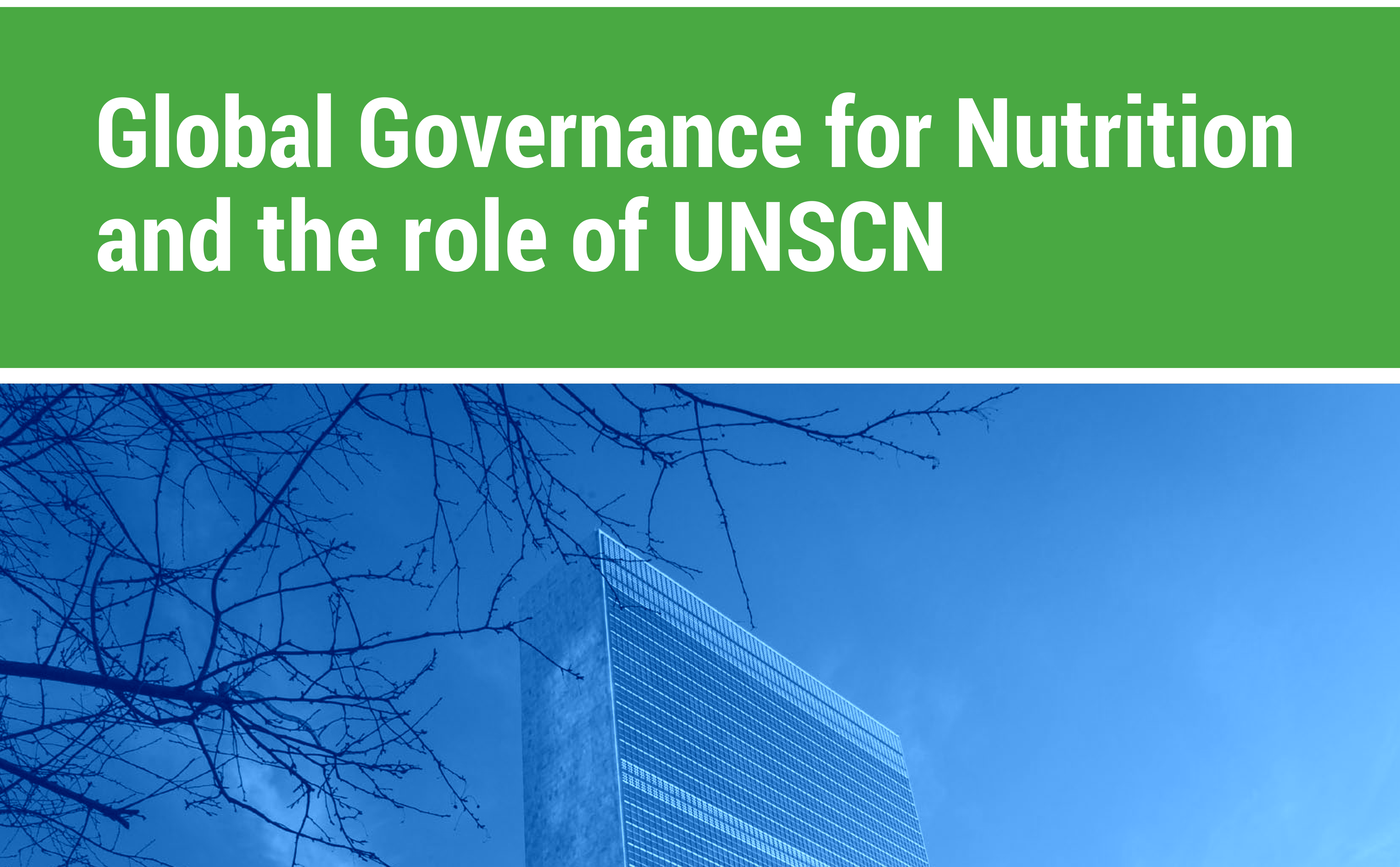 UNSCN Discussion Paper &#8211; Global Governance for Nutrition and the role of UNSCN