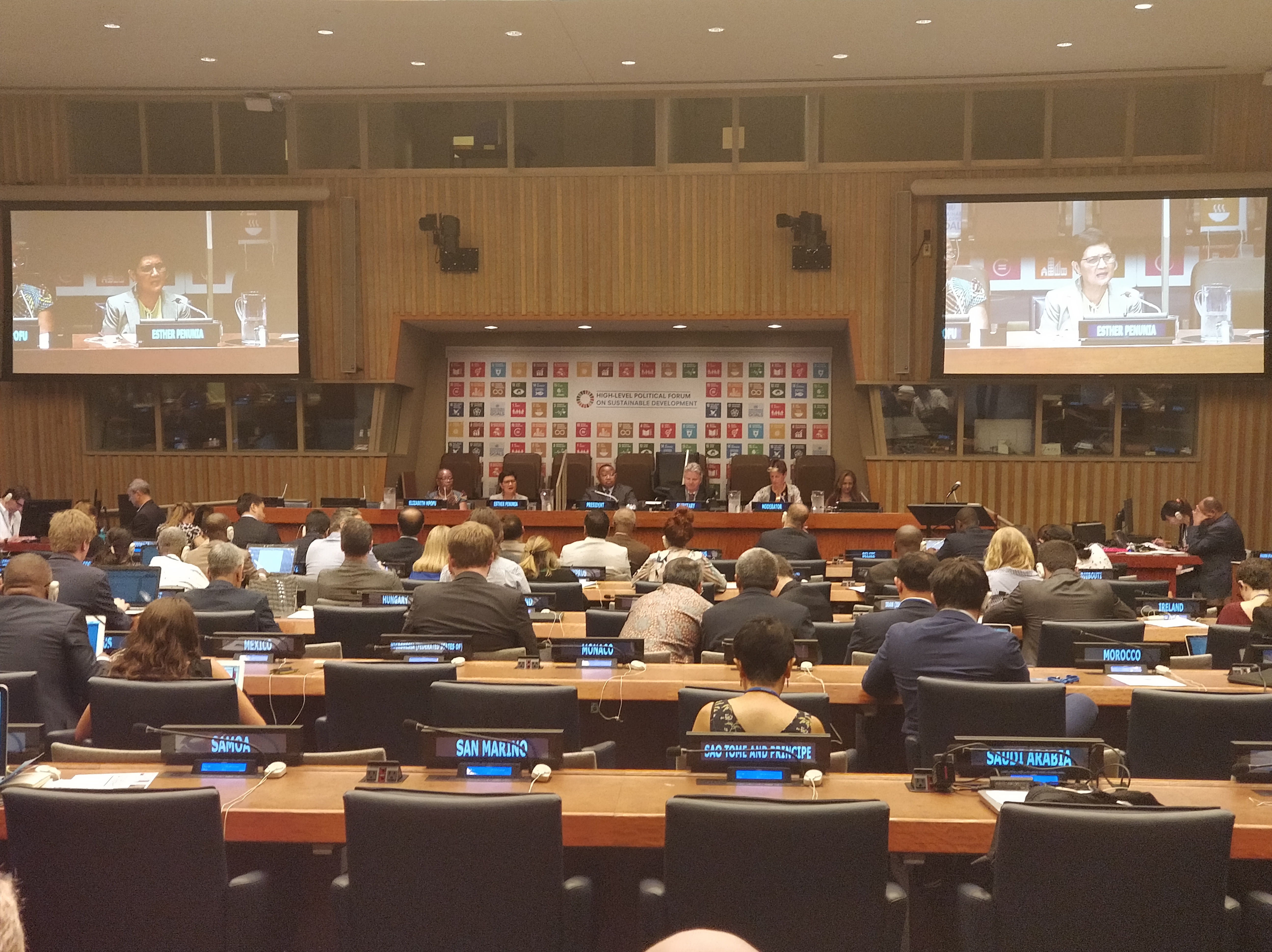 Nutrition at the High-Level Political Forum (HLPF)