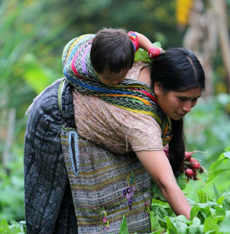Inspiring the shift from nutrition policy to implementation &#8211; NiPN study in Guatemala