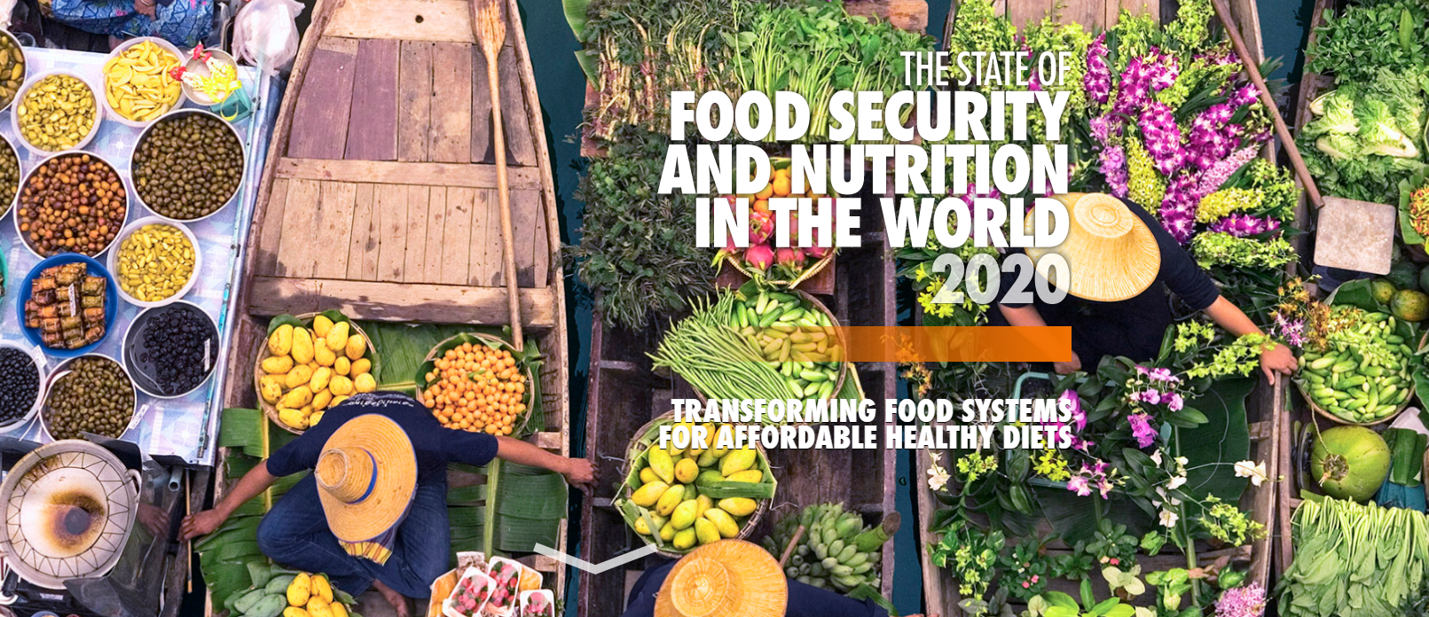 SOFI 2020 &#8211; Transforming food systems for affordable healthy diets