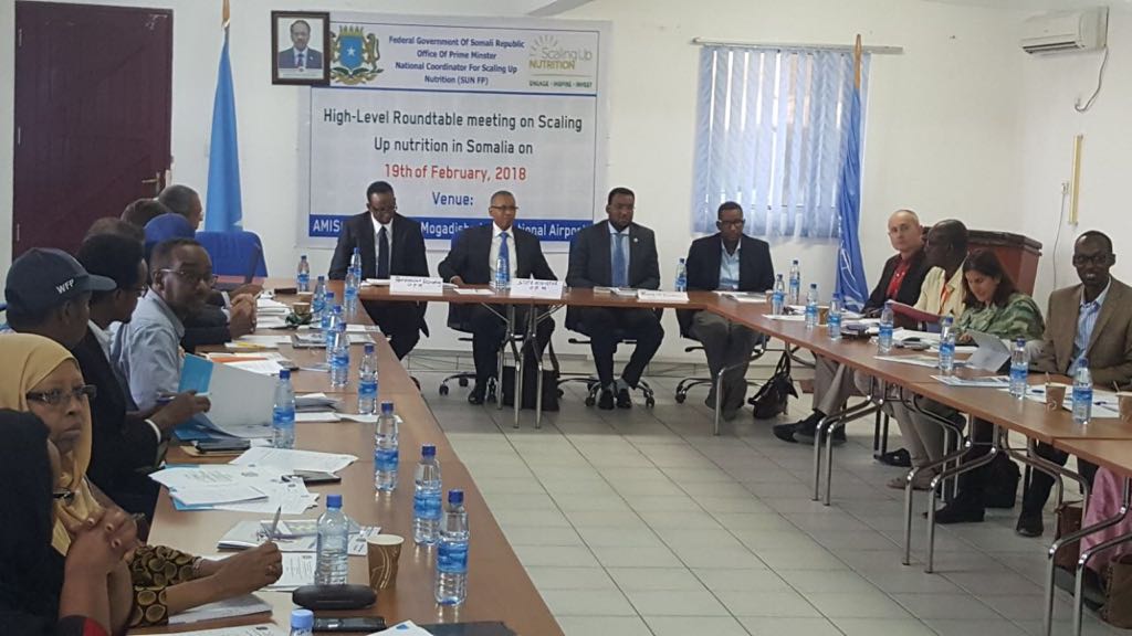 High level roundtable meeting on Scaling Up Nutrition in Somalia
