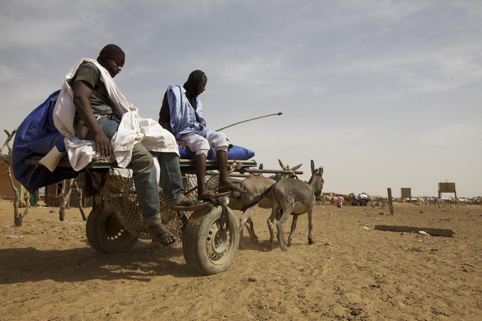 UN CERF releases funds to avert acute hunger and malnutrition in the Sahel