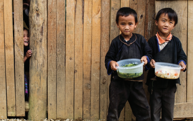 Ethnic minority children in Viet Nam are disproportionately undernourished