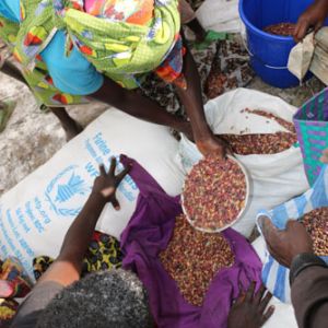 World Food Assistance: Preventing Food Crises. New report from WFP
