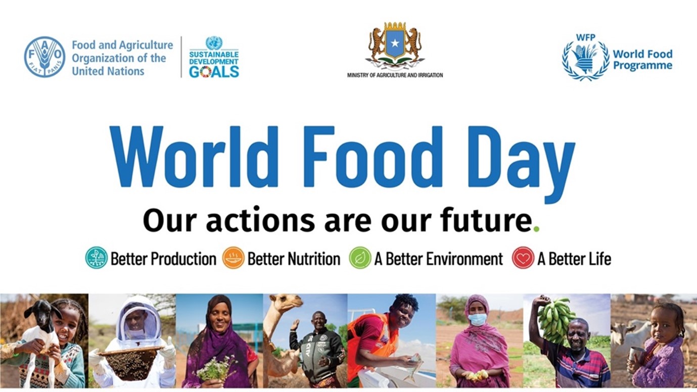 Somalia: World Food Day event called for local action to improve food systems