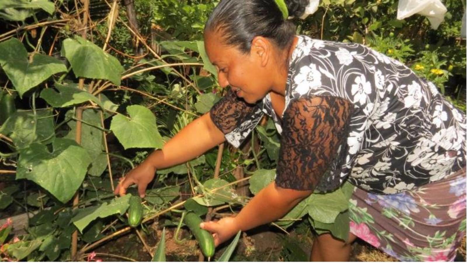Organic agriculture improves nutrition and reduces female poverty in El Salvador