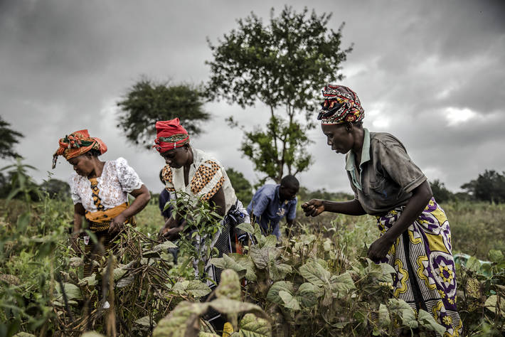 African countries commit to accelerate actions towards food security