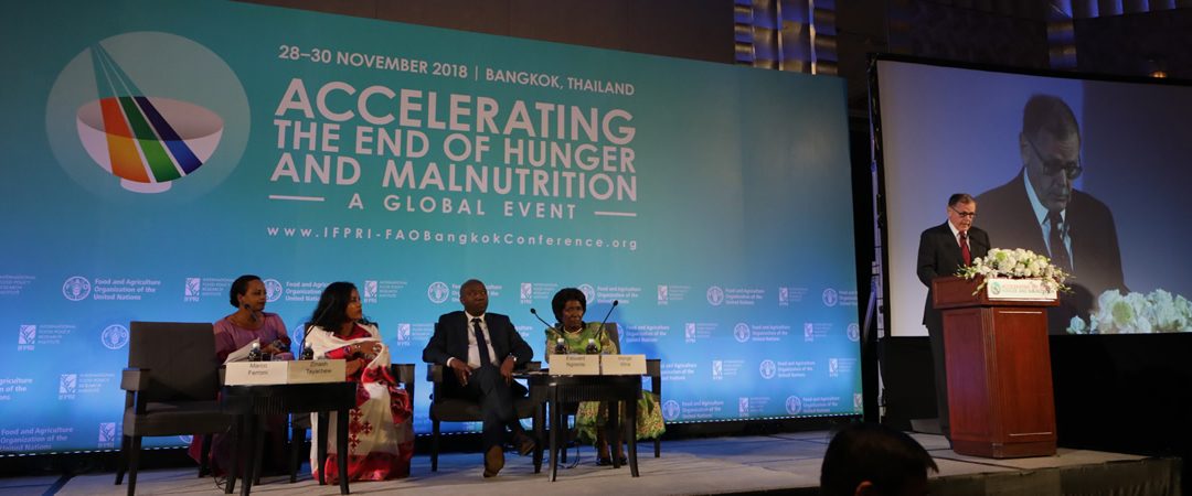 Accelerating the end of hunger and malnutrition &#8211; a global event