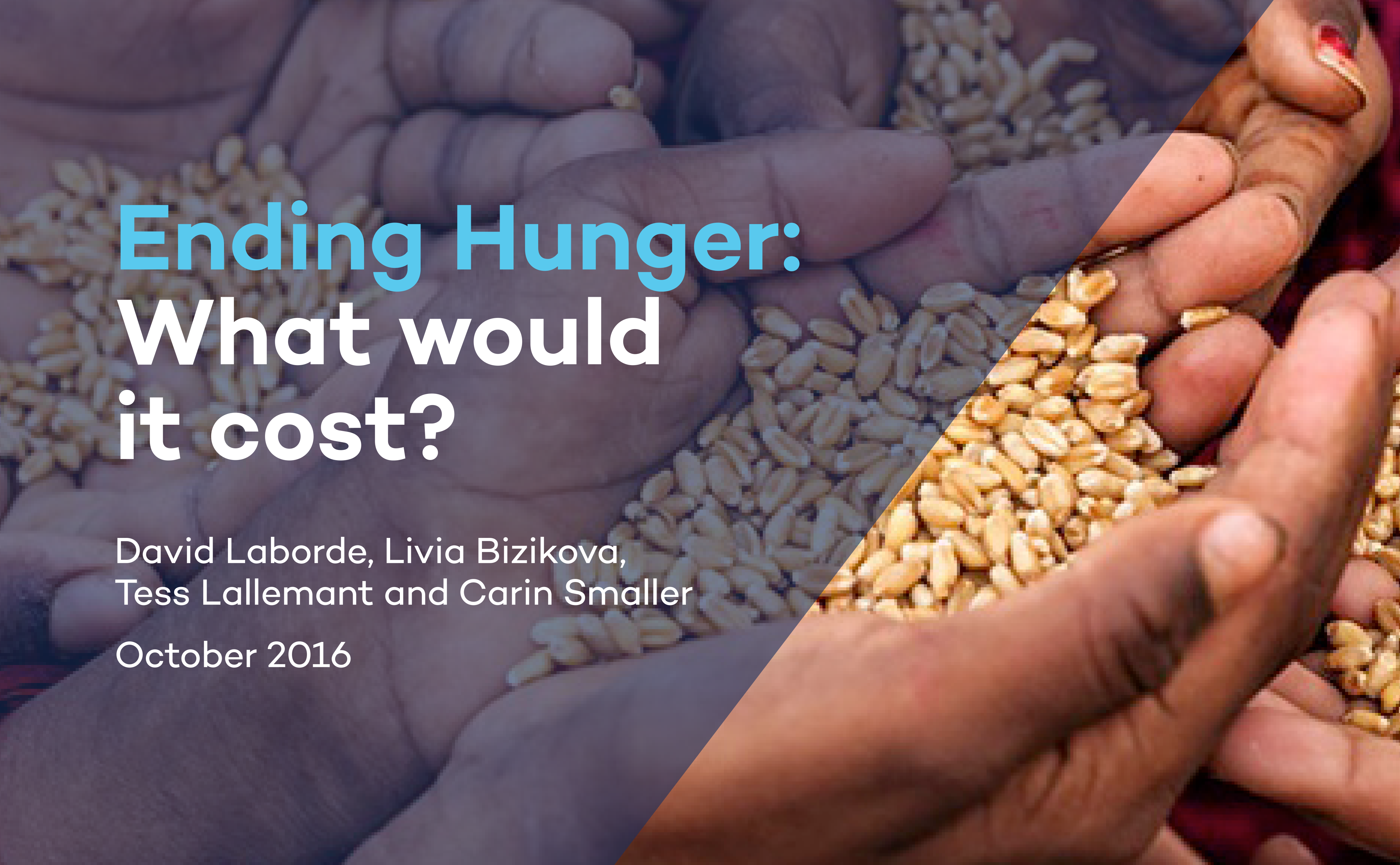 Ending Hunger: What would it cost?
