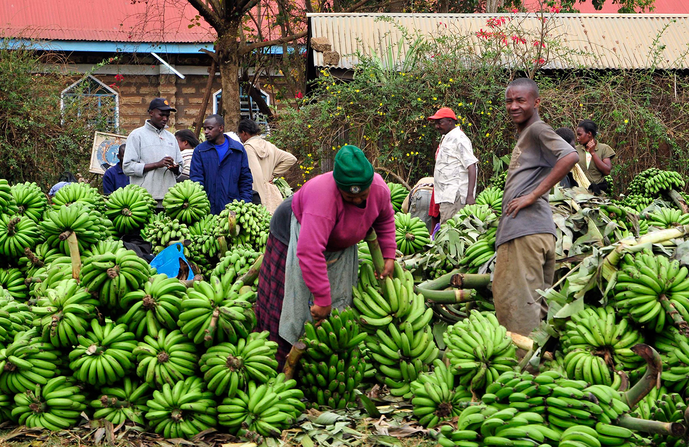 Improving nutrition through agriculture and food systems