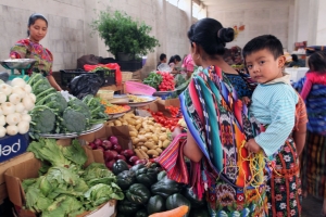 Panorama 2019: rise in hunger and obesity in Latin America and the Caribbean