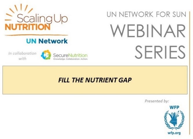 UN Network for SUN webinar series profiles WFP’s Fill the Nutrition Gap tool