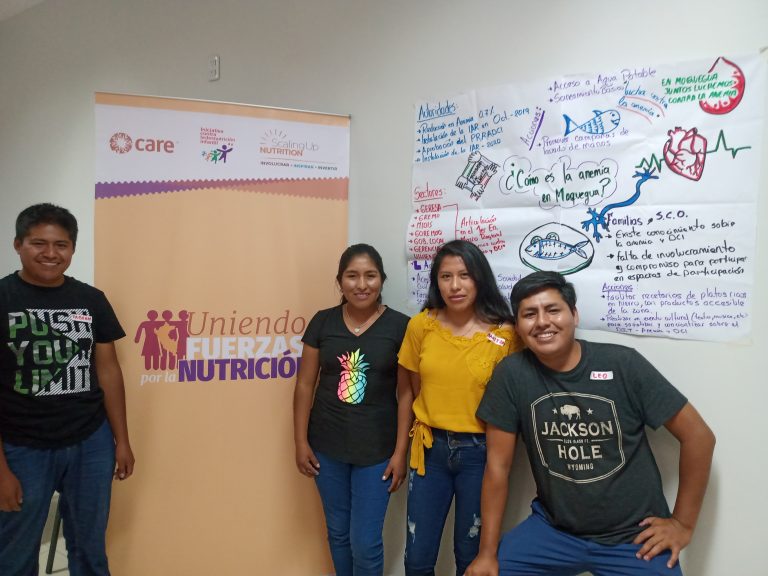 Youth organisations use online tools for monitoring nutrition budgets in Peru