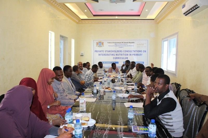 Private stakeholders consultations on integrating nutrition in primary education in Somalia