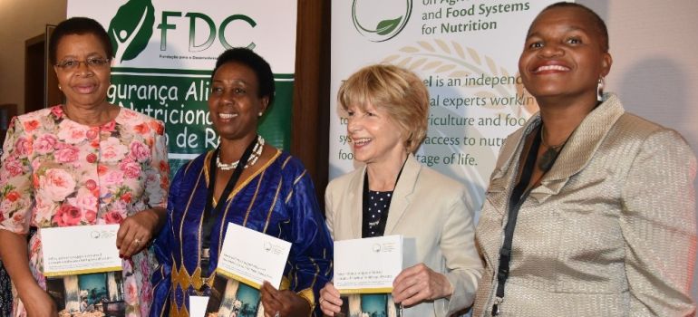The Global Panel and civil society focus on scaling up high quality diets in Mozambique