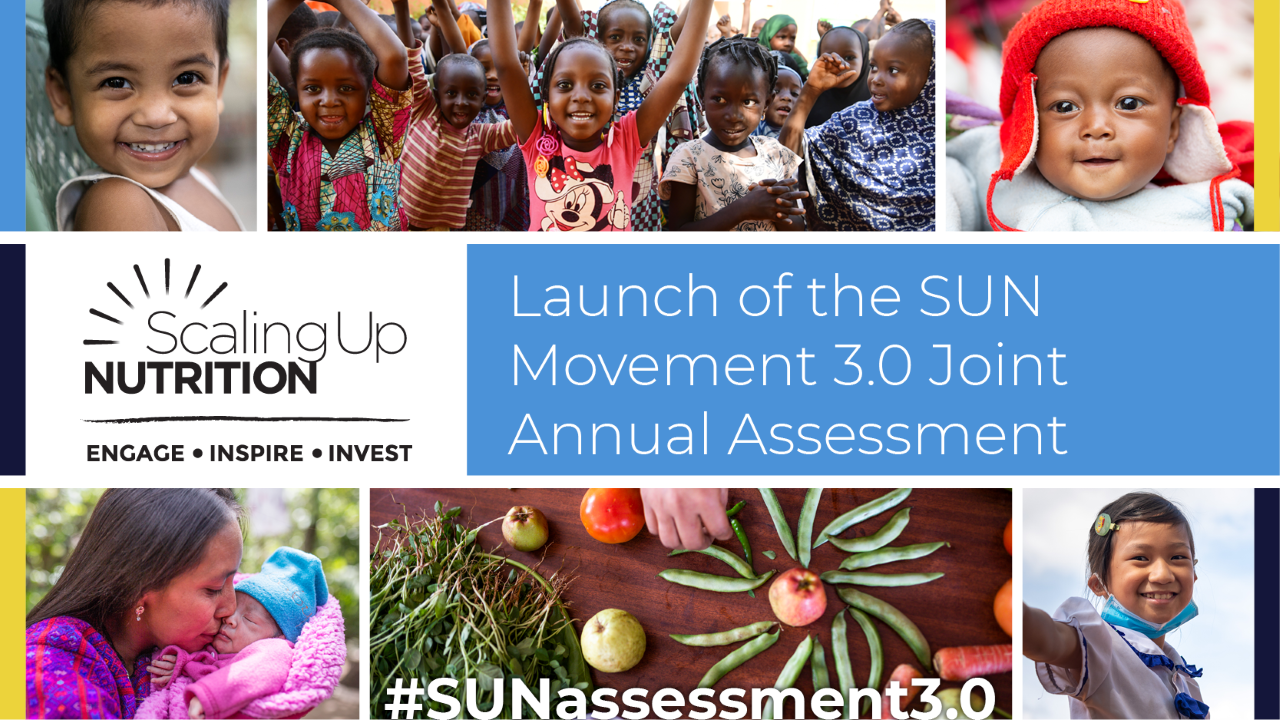 The new Joint Annual Assessment for SUN’s third phase kicks off