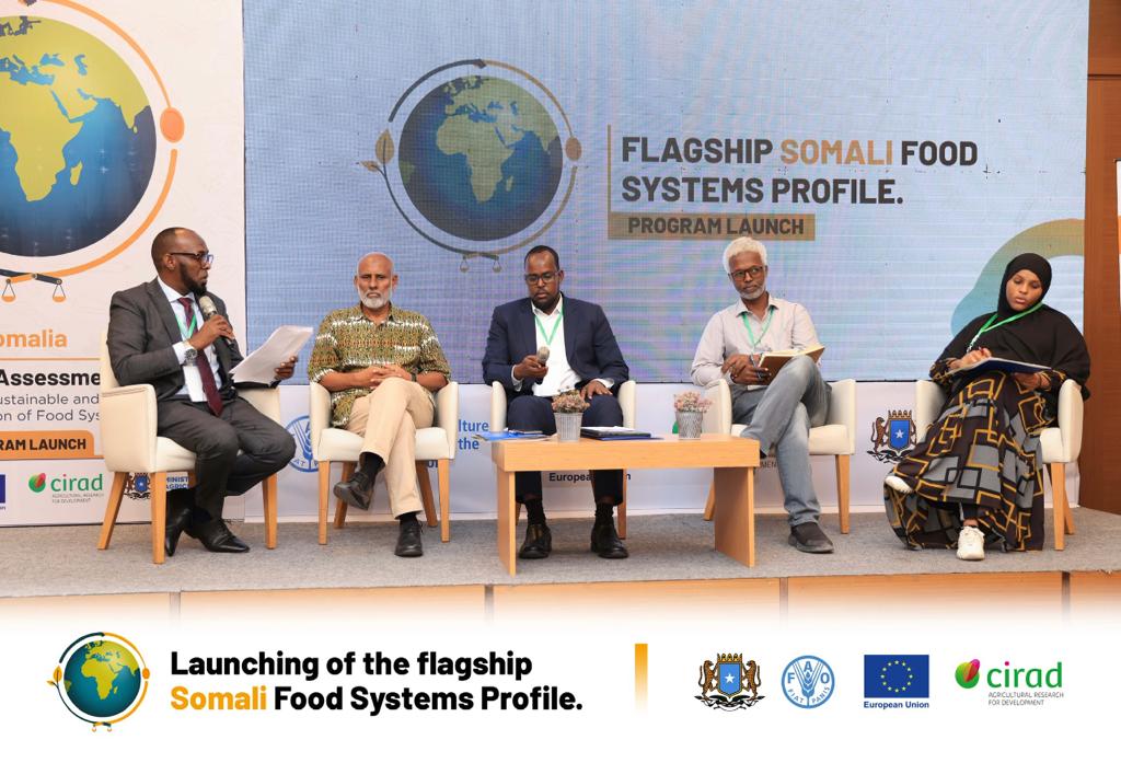 Flagship Somali Food Systems Profile Launch