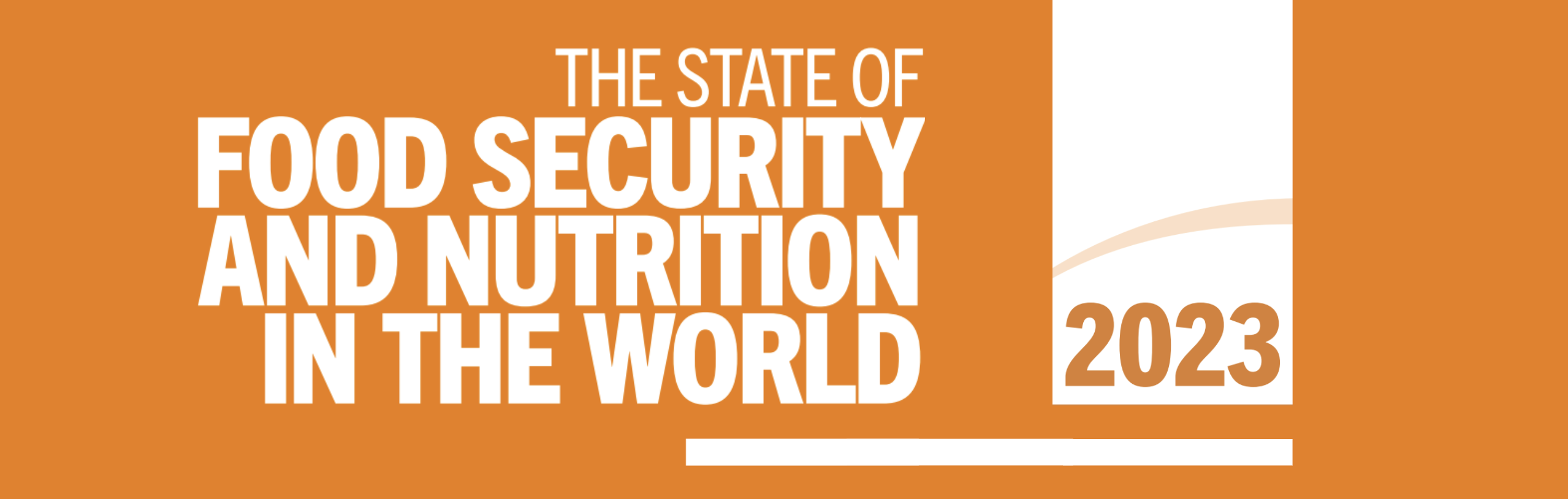 Launch of the State of Food Security and Nutrition in the World 2023