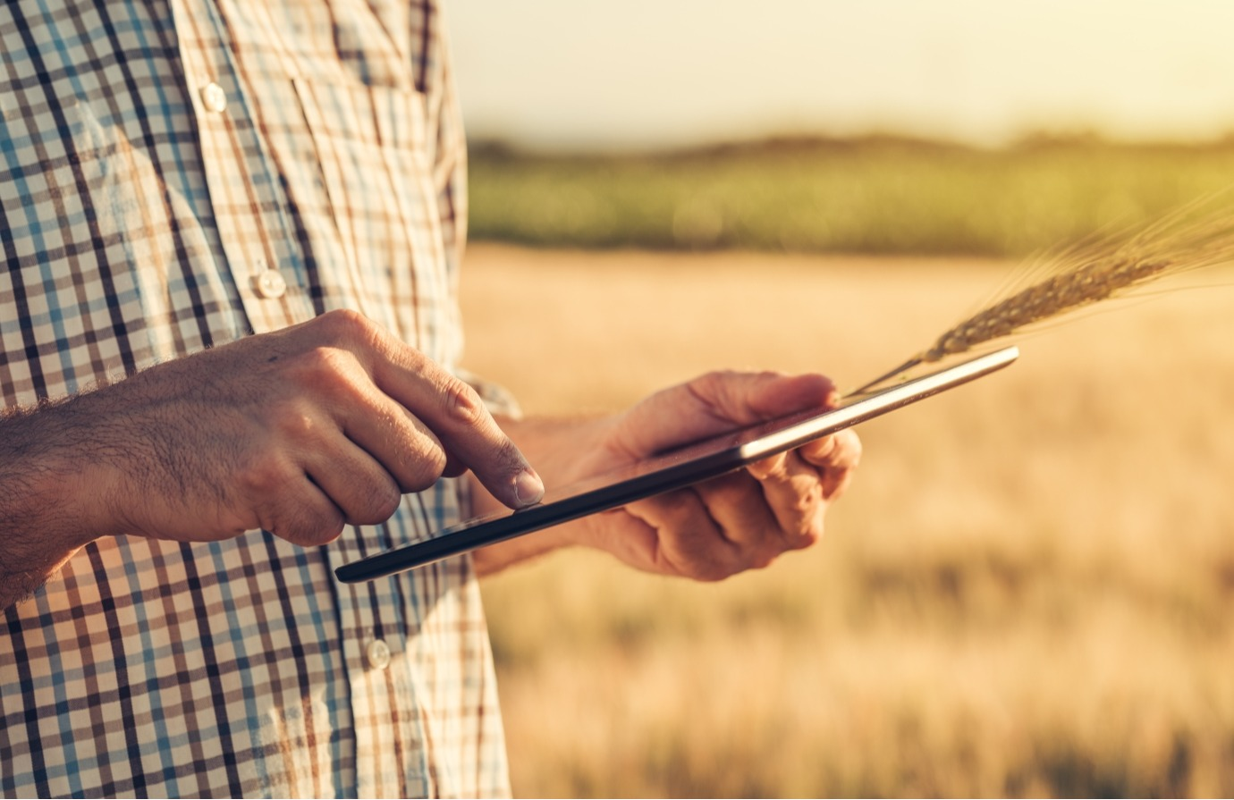 man holding tablet next to field