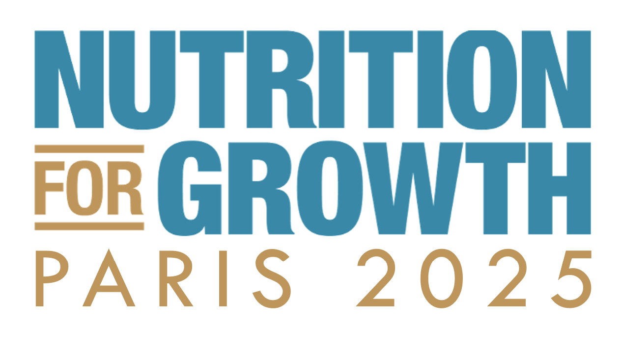 N4G Summit logo