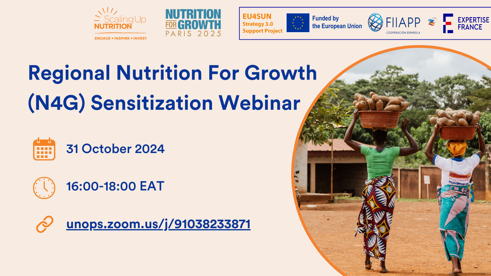 Flyer - Webinar