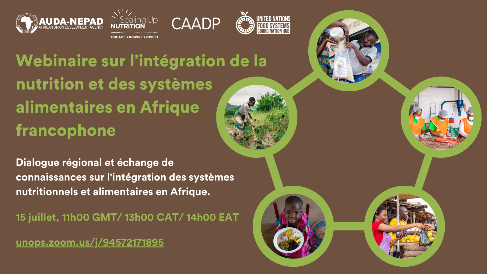 Flyer - Webinar