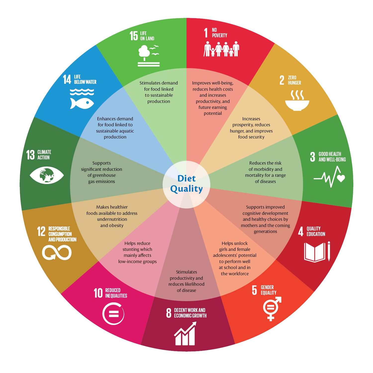 SDG wheel