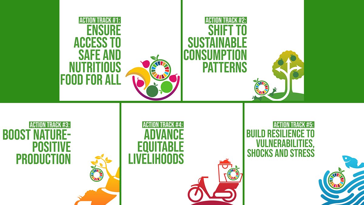 Leading experts chosen to drive five priority areas for UN Food Systems  Summit - SUN