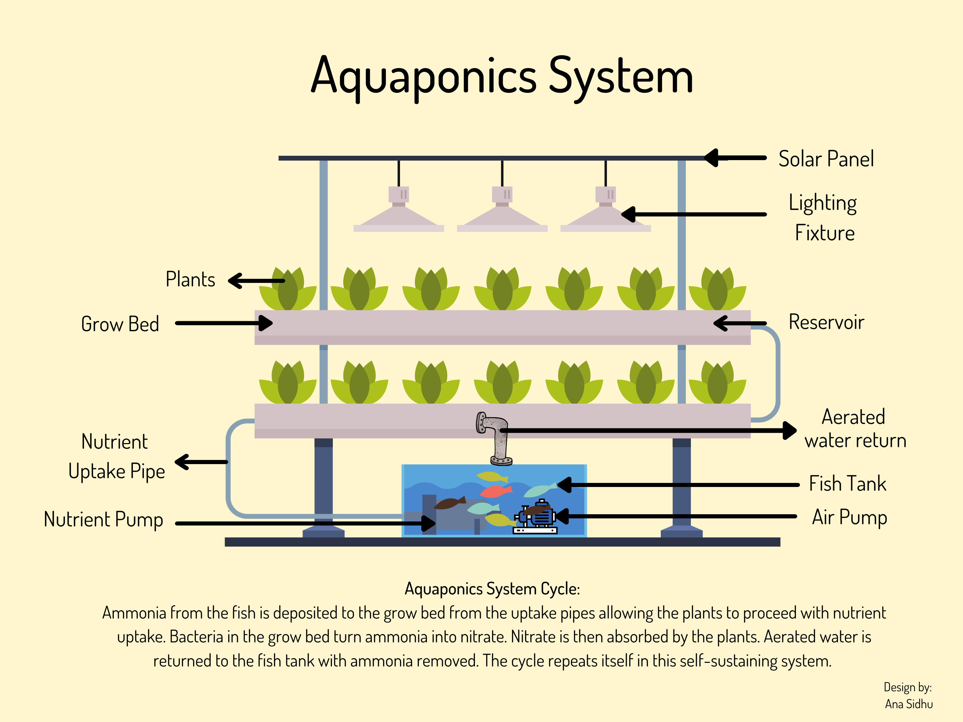 Aquaponics research topics